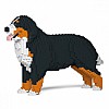 Bernese Mountain Dog (Stood) Back